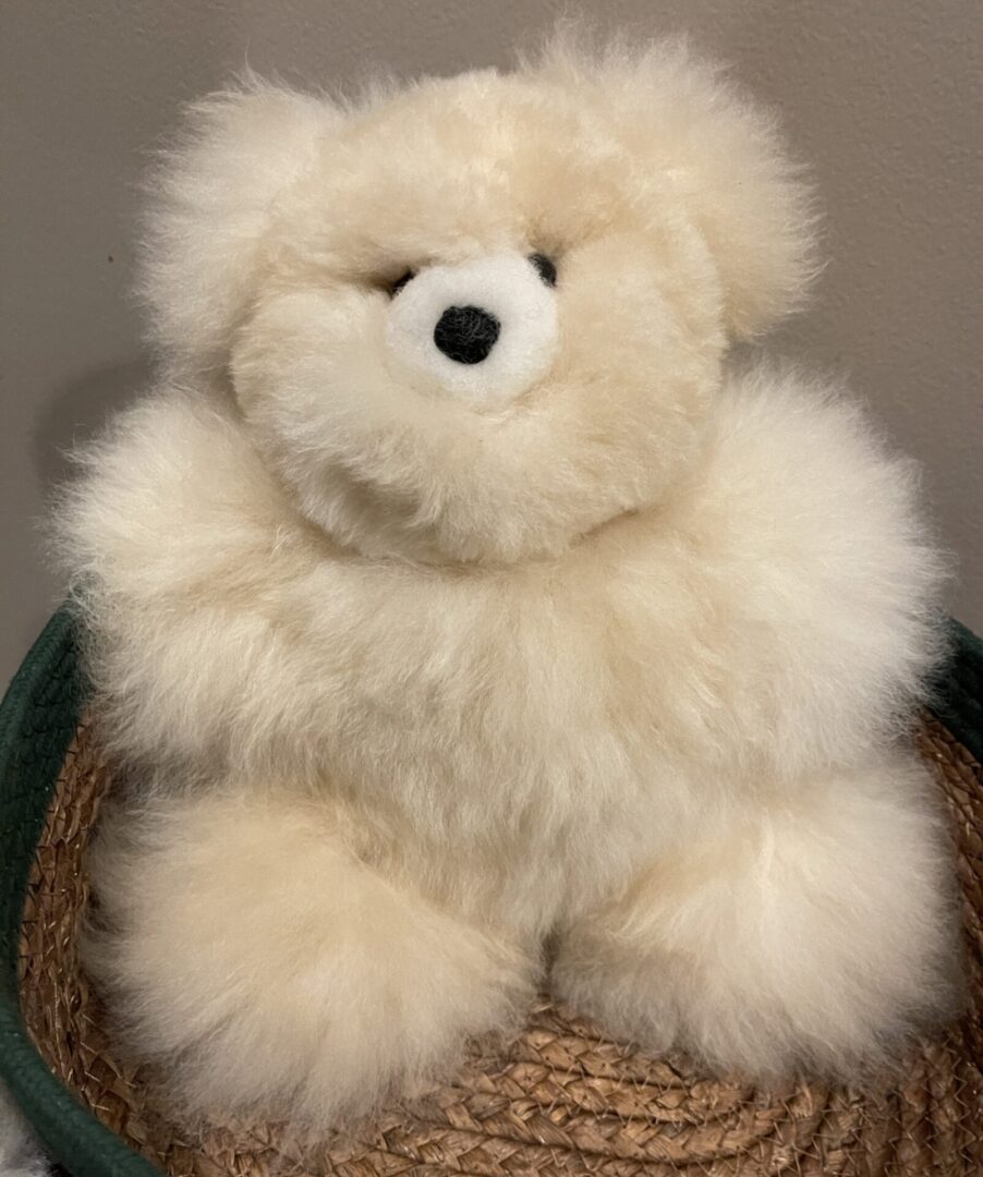 A white teddy bear sitting on top of a basket.