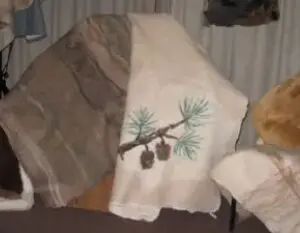 A blanket with pine cones on it